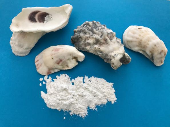 Is oyster shell sand biodegradable?