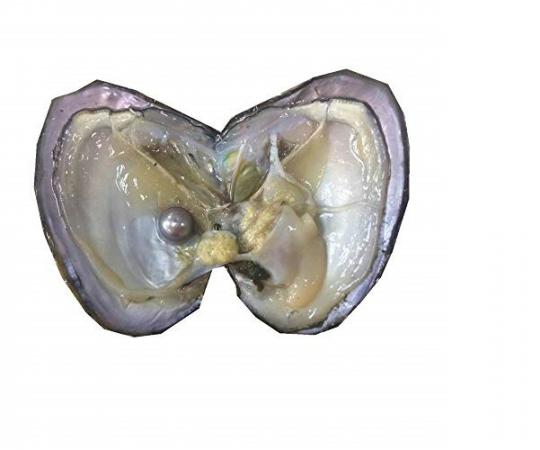 Bulk marketing of organic oyster shell