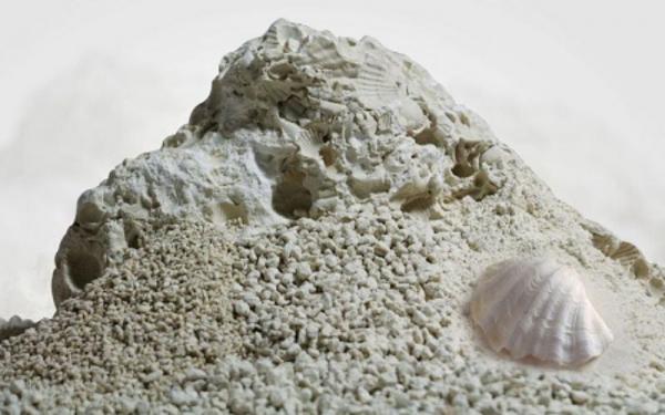 Unique Characteristics of organic oyster shell powder